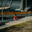 Kingfisher Perched by the Waterfront at Sunset.