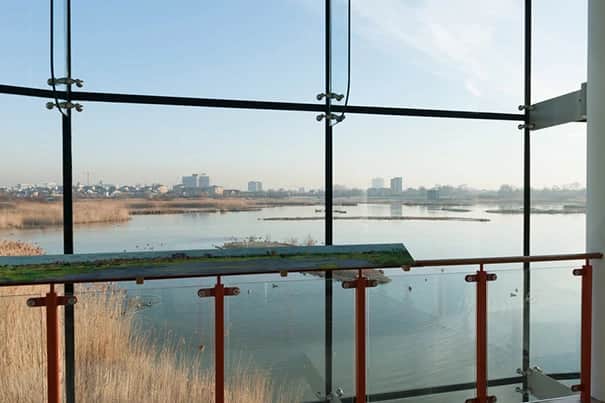 London Wetland Centre, Barnes