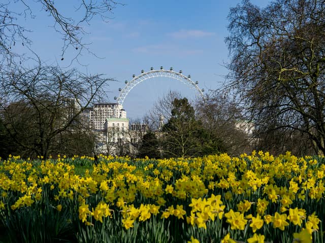 The pollen count is going to be very high in London over the coming days 