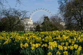 The pollen count is going to be very high in London over the coming days 