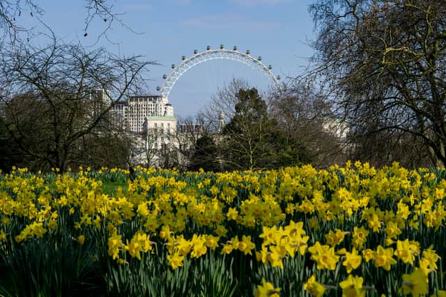 The pollen count is going to be very high in London over the coming days