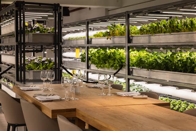 The Orangery offers a truly unique dining experience