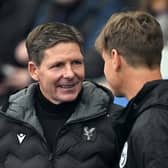 Palace and Brighton will renew their rivalry on Saturday