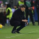 Thiago Motta was sacked by Juventus last month.