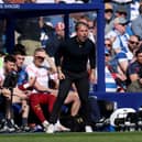 QPR head coach Marti Cifuentes could have a relegation battle on his hands.