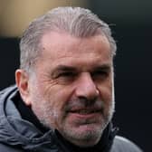 Postecoglou needs more depth in his squad