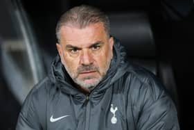 Postecoglou's squad needs thickening
