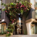 A luxury hotel has unveiled a stunning new art installation 