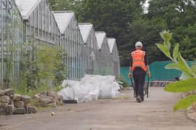 Work is underway on the Queen Elizabeth memorial garden at Regent's Park