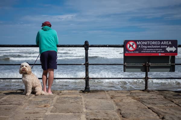 Dog owners could face fines of £1,000 if they take their dogs to the beach this summer.