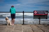 Dog owners could face fines of £1,000 if they take their dogs to the beach this summer.