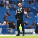 Potter has some big decisions ahead of him