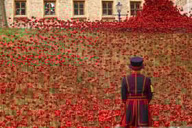 This is how you can see the poppies at the Tower of London in 2025