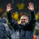 Postecoglou may be a diamond in the rough