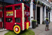Vibrant floral displays are set to bloom in the centre of the city this month.