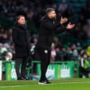 Stephen Robinson has been linked with the QPR job.
