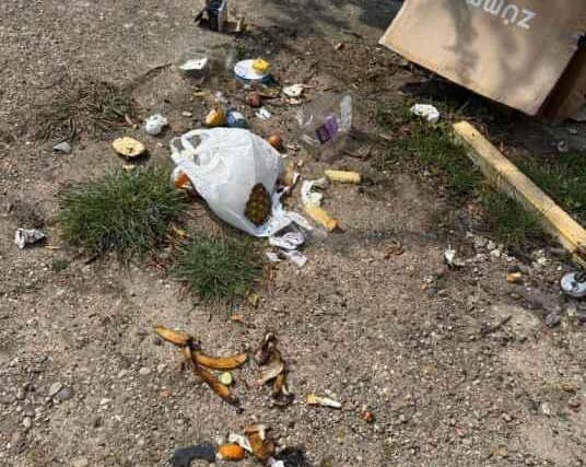 A Shirley resident said the smell of the rubbish overspill was 'just awful'