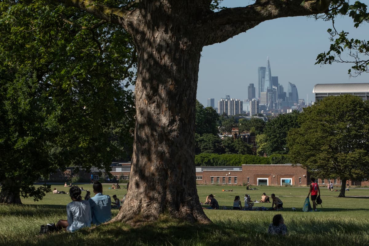 Are Brockwell Park s 2025 Field Day City Splash Cross the Tracks cancelled? Are Brockwell Park s 2025 Field Day City Splash Cross the Tracks cancelled?