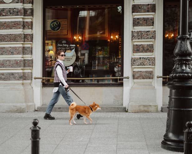 A Londoner and her pooch strut their stuff 