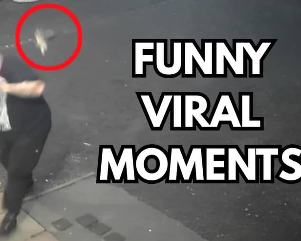 Thumbnail image for Caught on Camera Viral moments 2 episode
