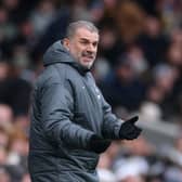 Postecoglou doesn't yet know his own fate