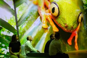 Immerse yourself in the wonders of our planet, David Attenborough style at the Natural History Museum