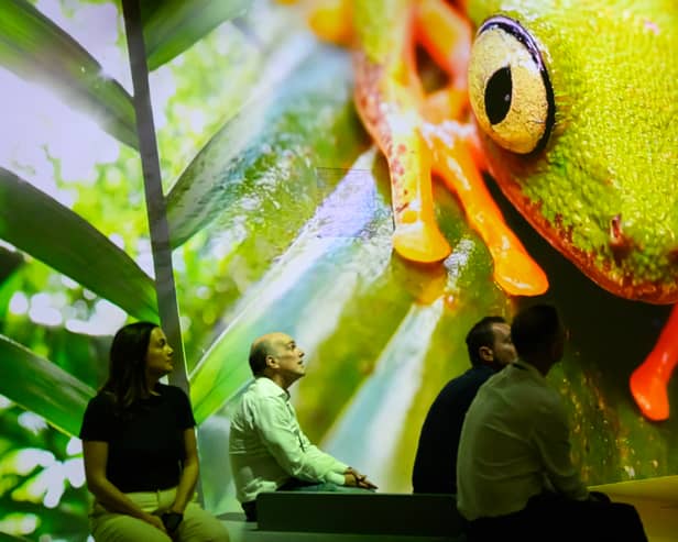 Immerse yourself in the wonders of our planet, David Attenborough style at the Natural History Museum