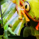 Immerse yourself in the wonders of our planet, David Attenborough style at the Natural History Museum