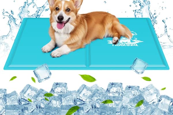 Amazon's cooling mats are an absolute bargain right now