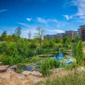 Cator Park is one of the city's best hidden gems and David Attenborough loves it! 