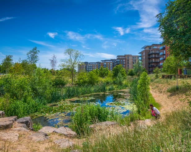 Cator Park is one of the city's best hidden gems and David Attenborough loves it! 