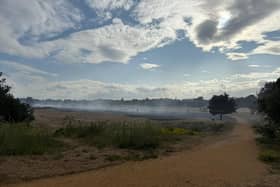 Firefighters extinguish wildfire on Wigley Road in London