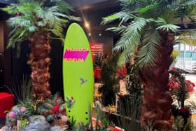 Step into a tropical paradise at the London Paradox Museum