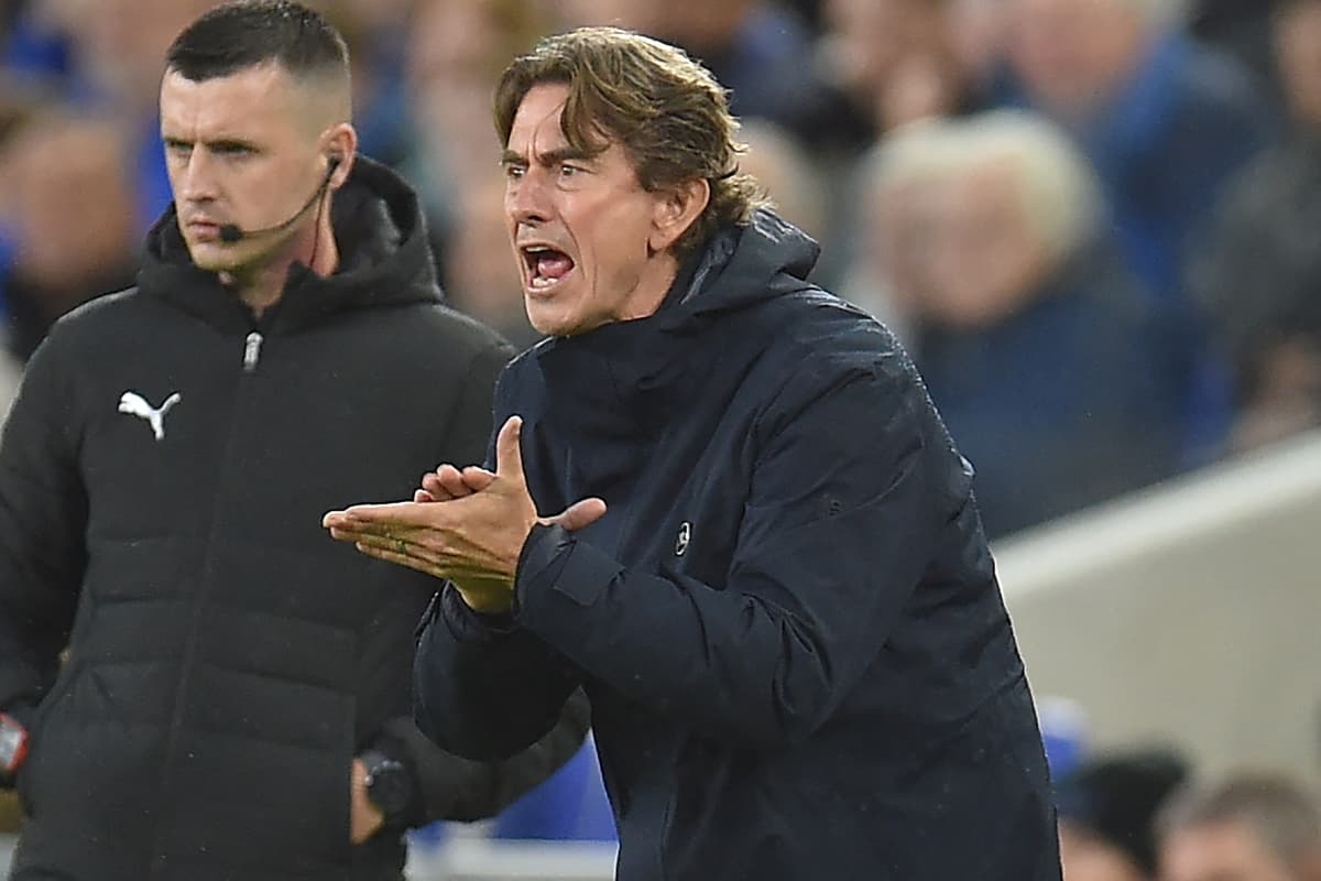 Spurs told they can sign 'strong player' for cheap to replace Solanke - LondonWorld Spurs told they can sign 'strong player' for cheap to replace Solanke - LondonWorld