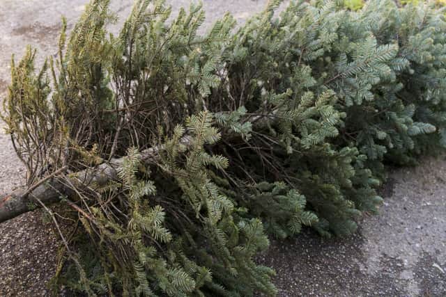Trees can also be taken to various drop-off sites in Hackney for free from January 2 to 31