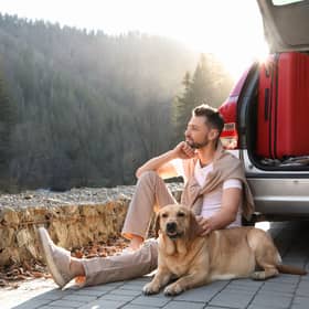 Hotel searches using the ‘pet-friendly’ filter are up 28% year on year.