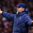Tudor may already be in trouble