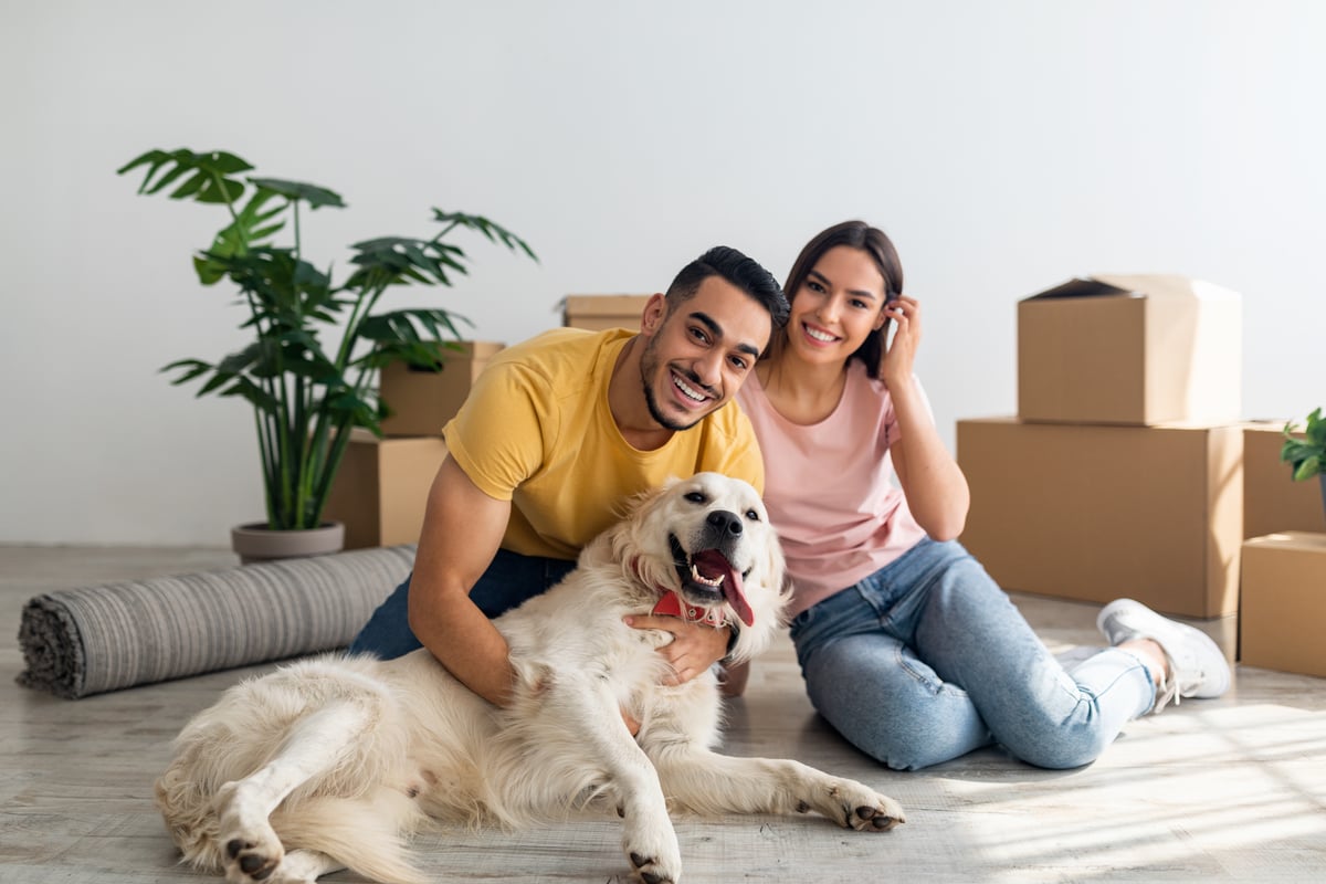 UK Renters: New Rules Let Landlords Require Pet Insurance for Damage
