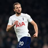 Spurs boss Antonio Conte believes England captain Harry Kane is happy at Tottenham and "totally involved" in the club's project. (Sky Sports). Photo by FILIPPO MONTEFORTE/AFP via Getty Images.