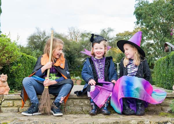 Borde Hill Garden, Haywards Heath, RH16 1XP
. Halloween Whodunnit Spooktacular is going to be held at Borde Hill Garden, 16th - 31st October 2021
This Halloween half term, bring your family to a spooktacular costume party at Foolish Mortal Mansion. Young witches and wizards can explore the garden on a daily story trail, helping Detective Snoop discover what happened to Sir Dangerous Powers, the owner of Foolish Mortal Mansion, and whodunnit!
The adventure playground, cafe and nature walks will remain open to visitors.
£3.00 per trail plus admission, to include a prize (FREE to Members).
All Garden entry and trails must be pre-booked in advance at: www.bordehill.co.uk/bookyourvisit