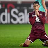 FULHAM BOUND:  Torino midfielder Sasa Lukic