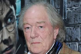 The late Sir Michael Gambon (Photo by Jason Kempin/Getty Images)