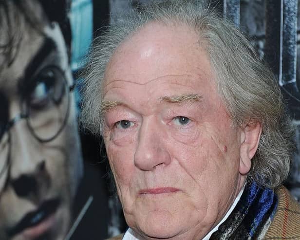 The late Sir Michael Gambon (Photo by Jason Kempin/Getty Images)