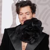 Harry Styles attending the Brit Awards 2023 at the O2 Arena, London. Picture date: Saturday February 11, 2023.
Picture Ian West/PA