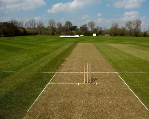 Cricket pitch