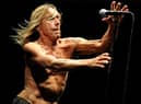Iggy Pop performing with the Stooges in 2013 when the crowd were more receptive and didn't throw eggs and shovels. (Picture: Matt Roberts/Getty Images)