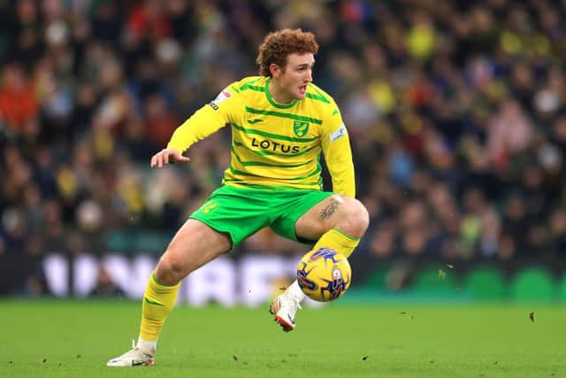 Josh Sargent is a player Daniel Farke knows well.