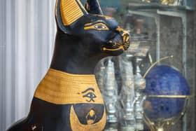 Cats were worshipped in ancient Egypt - Animal News Agency