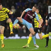 BURNLEY, ENGLAND - FEBRUARY 05: Dale Stephens(Photo by James Gill/Getty Images)
