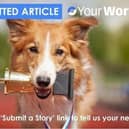 Use the 'Submit a story' link to tell us your news